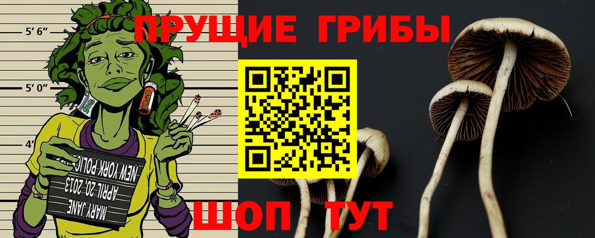 Владикавказ  Псилоцибиновые грибы GOLDEN TEACHER  Вход с VPN 